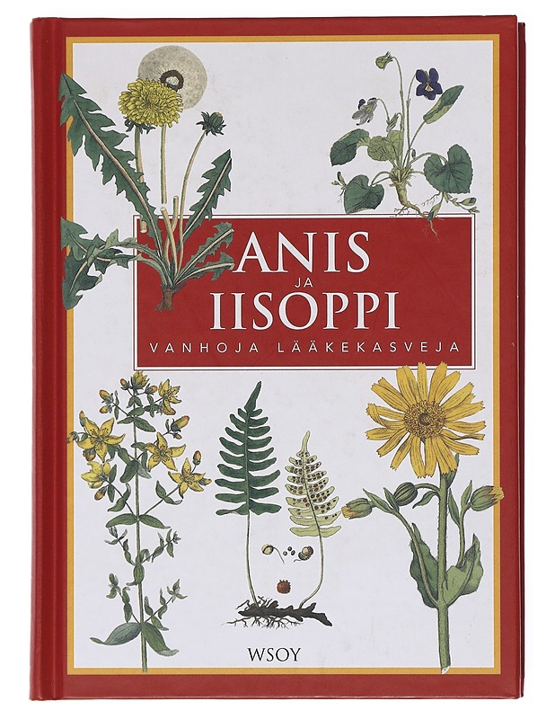 Anis ja iisoppi, vanhoja lääkekasveja - Bruun, Erik - Tietokirjat ja oppaat - 10105601065 - 0