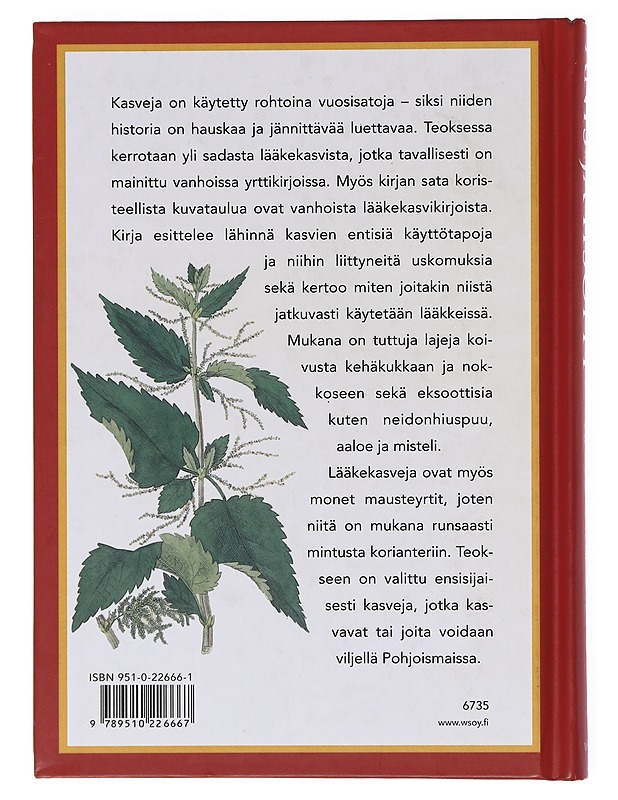 Anis ja iisoppi, vanhoja lääkekasveja - Bruun, Erik - Tietokirjat ja oppaat - 10105601065 - 1
