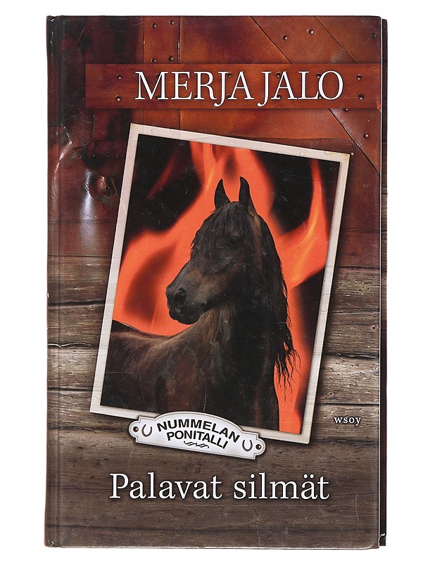 Palavat silmät - Merja Jalo - Nuorten kirjat - 10105601097 - 0