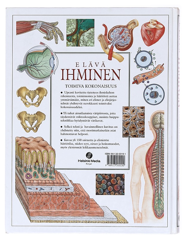 Elävä ihminen : Toimiva kokonaisuus - Aito, Henrikka - Tietokirjat ja oppaat - 10105601383 - 1
