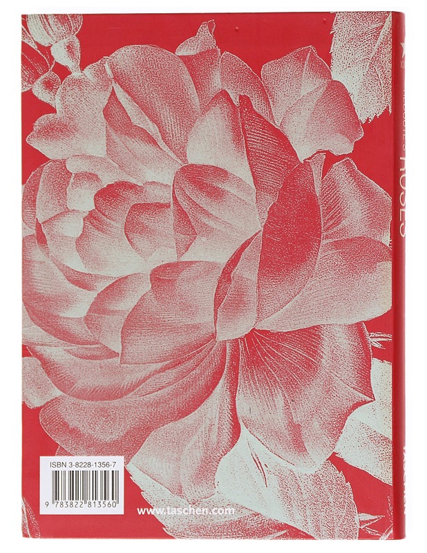 Redoute's Roses - Petra-Andrea Hinz - Tietokirjat ja oppaat - 10105601892 - 1