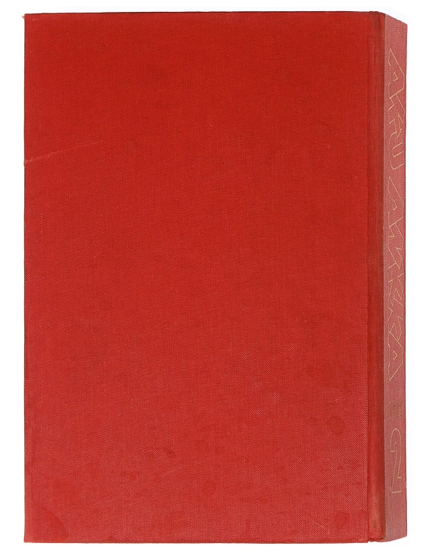 Aku Ankka vuosi 1982 / 2  - Sarjakuvat - 10105602307 - 1