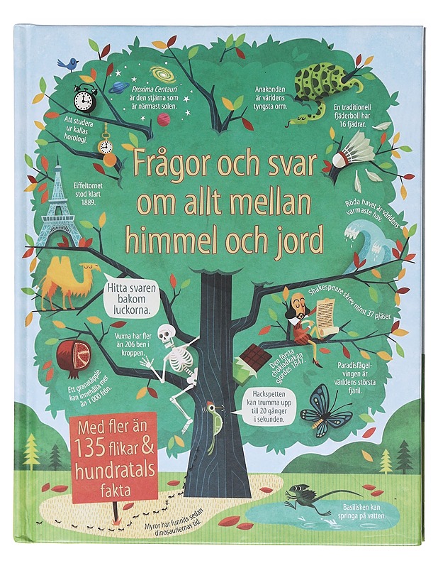 Frågor och svar om allt mellan himmel och jord - James Maclain - Lastenkirjat - 10105602626 - 0