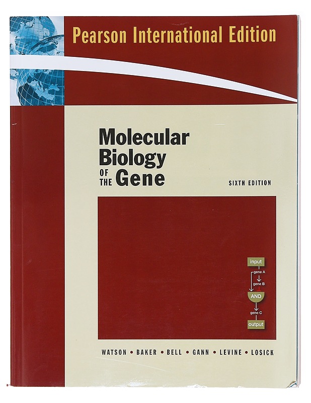 Molecular biology of the gene - James D. Watson - Harrastekirjat - 10105602660 - 1