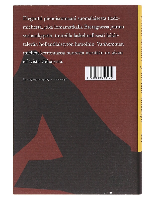 Fine van Brooklyn - Waltari, Mika - Romaanit ja novellit - 10105603175 - 1