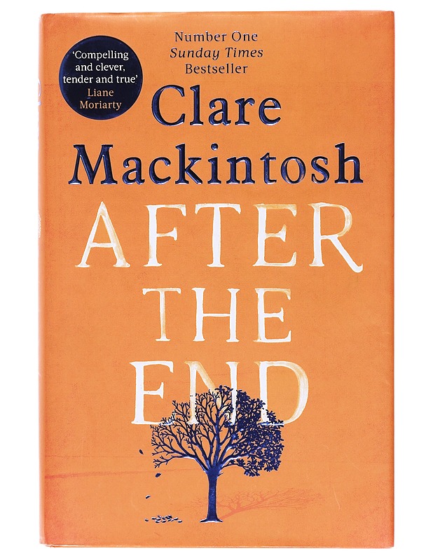 After the end - Clare Mackintosh - Romaanit ja novellit - 10105603372 - 0