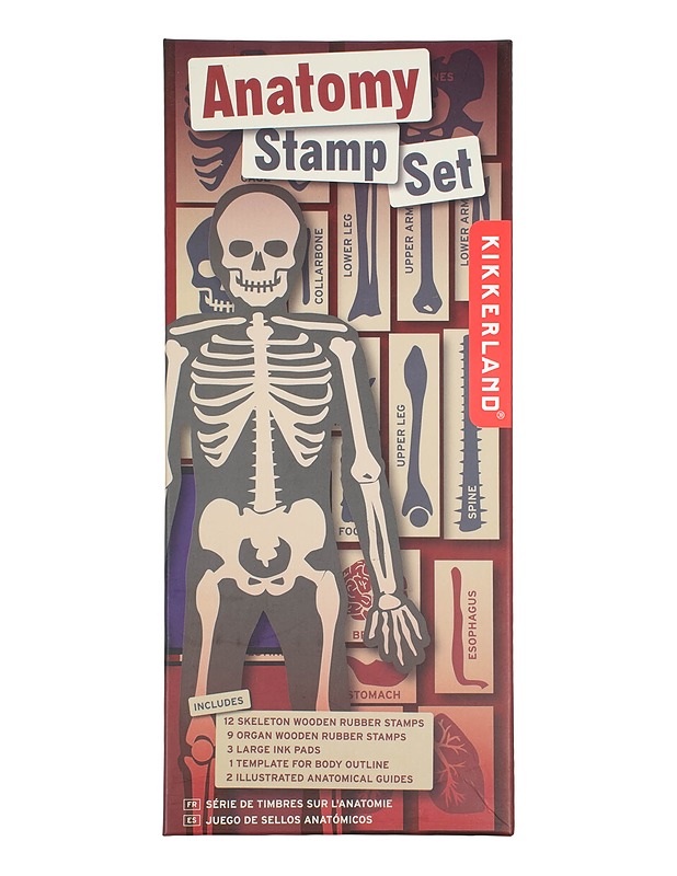 KIKKERLAND Anatomy Stamp Set leimasinsetti - Askartelu - 10105603680 - 0