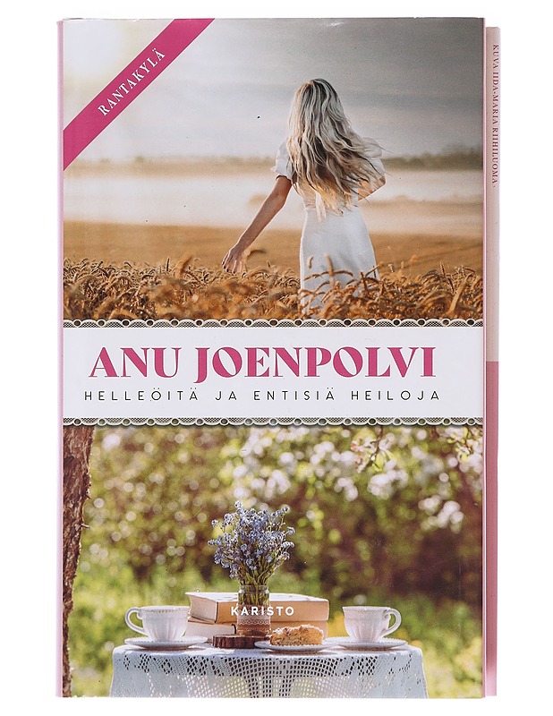 Helleöitä ja entisiä heiloja - Anu Joenpolvi - Romaanit ja novellit - 10105603712 - 0