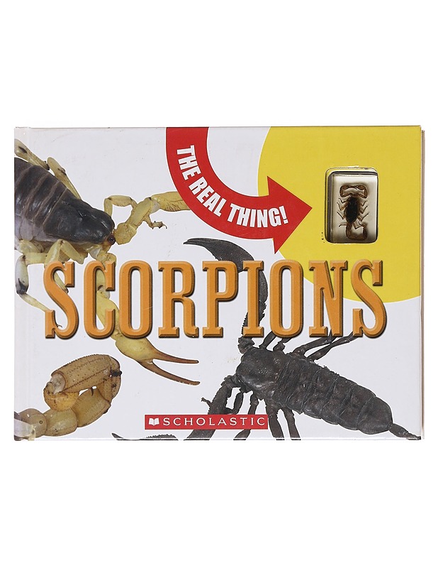 Scorpions - Mary Packard - Lastenkirjat - 10105603902 - 0