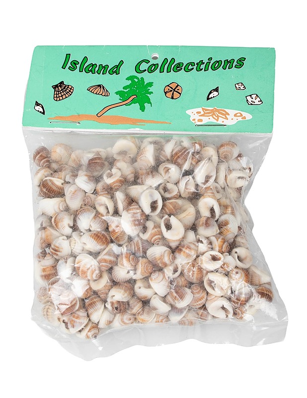 ISLAND COLLECTIONS koristesimpukat - Askartelu - 10105604216 - 0