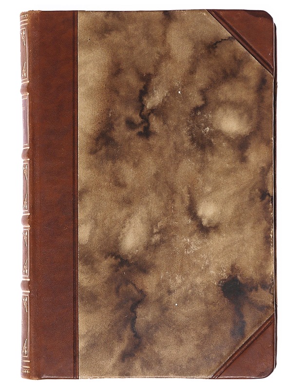 Kootut teokset VI - Leino, Eino - Romaanit ja novellit - 10105604494 - 0