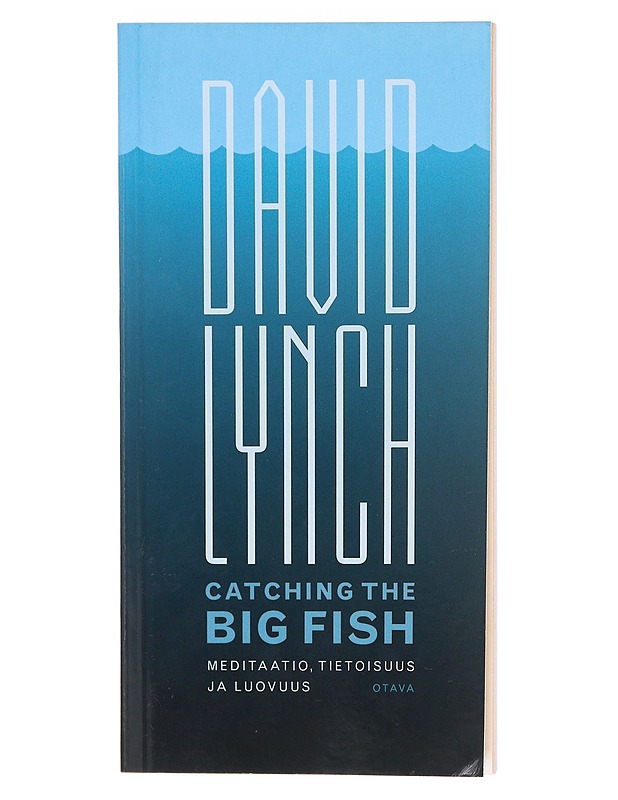 Catching the big fish / meditaatio, tietoisuus ja luovuus - Lynch, David - Elämäkerrat ja muistelmat - 10105604795 - 0