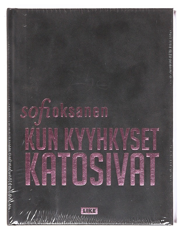 Kun kyyhkyset katosivat - Romaanit ja novellit - 10105605505 - 0