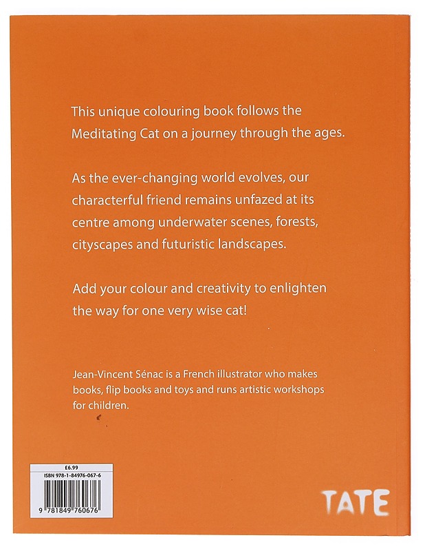 The Meditating Cat: A Zen colouring book - Jean-Vincent Senac - Harrastekirjat - 10105605531 - 1