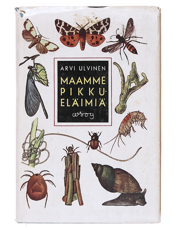 Maamme pikkueläimiä : (selkärangattomia) - Arvi Ulvinen - Harrastekirjat - 10105605996 - 0