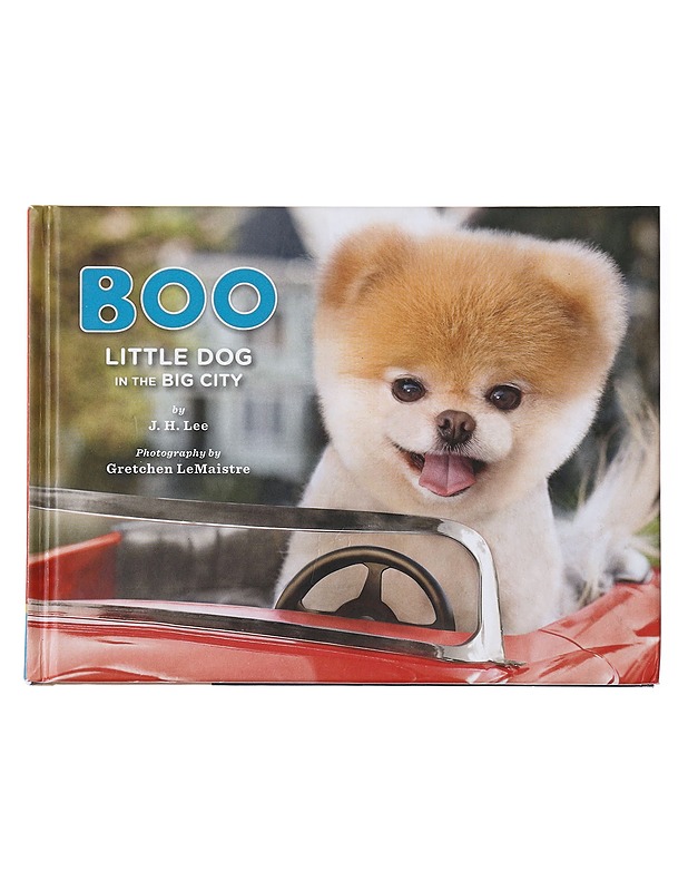 Boo little dog in the city - J.H. Lee,  Gretchen LeMaistre, 9781452109718 - Lastenkirjat - 10105606075 - 0
