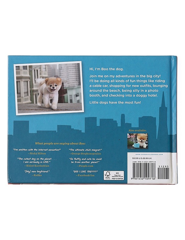 Boo little dog in the city - J.H. Lee,  Gretchen LeMaistre, 9781452109718 - Lastenkirjat - 10105606075 - 1