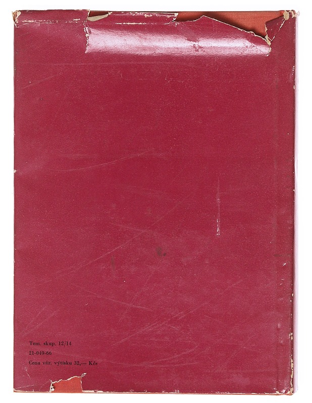 Franz Kafka aus Prager sicht - Tietokirjat - 10105606809 - 1