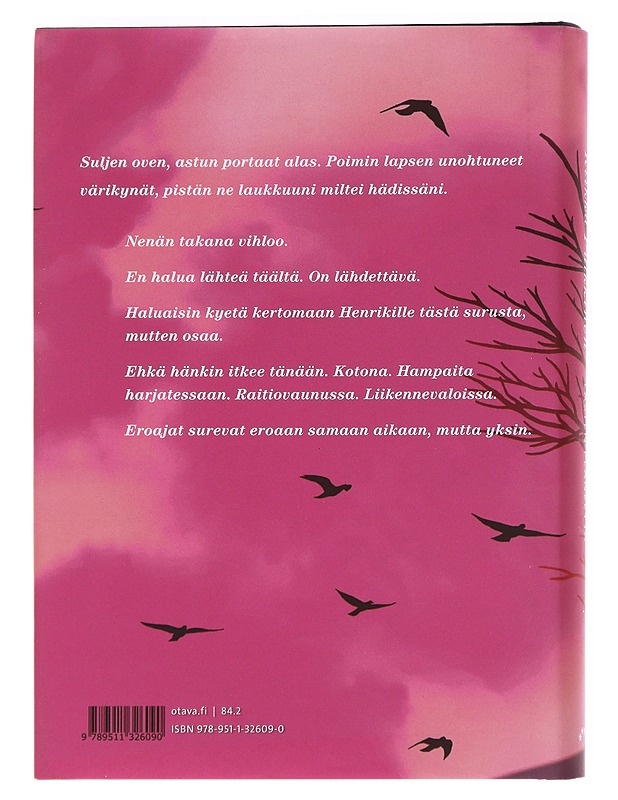 Lasten planeetta - Riikka Pulkkinen - Kirja lahjaksi - 10105606813 - 1
