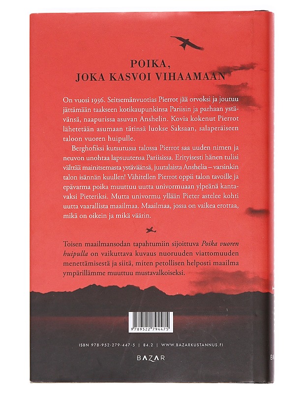 Poika vuoren huipulla - Boyne, John - Romaanit ja novellit - 10105606867 - 1