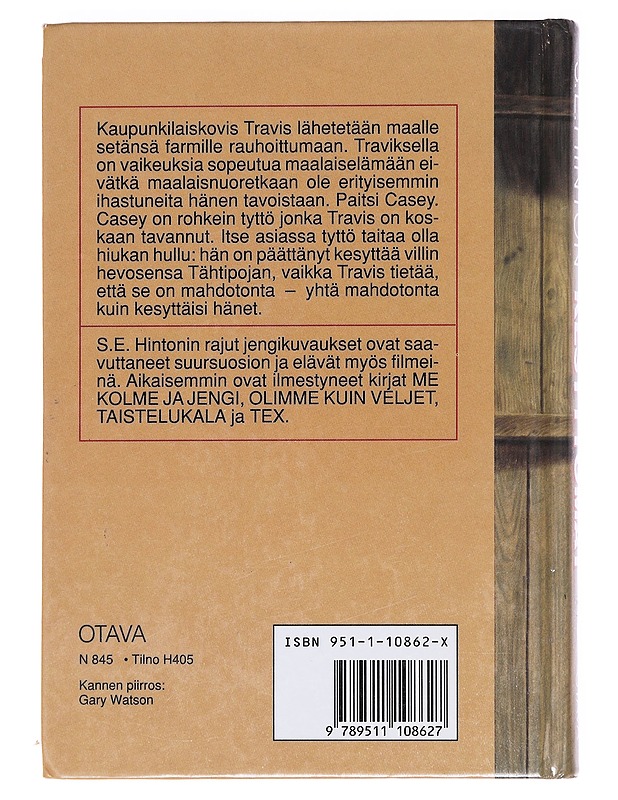 Kesyttömät - Hinton, S. E. - Nuorten kirjat - 10105607179 - 1