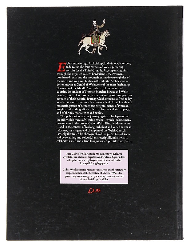 A Mirror of Medieval Wales David M, Robinson - Historiakirjat - 10105607625 - 1