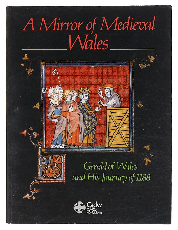 A Mirror of Medieval Wales David M, Robinson - Historiakirjat - 10105607625 - 0