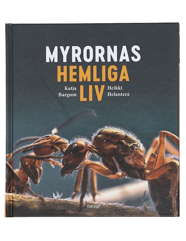 Myrornas hemliga liv - Bargum, Katja - Lemmikki- ja luontokirjat - 10105608005 - 0