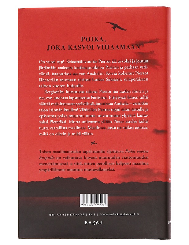Poika vuoren huipulla - Boyne, John - Romaanit ja novellit - 10105608272 - 1