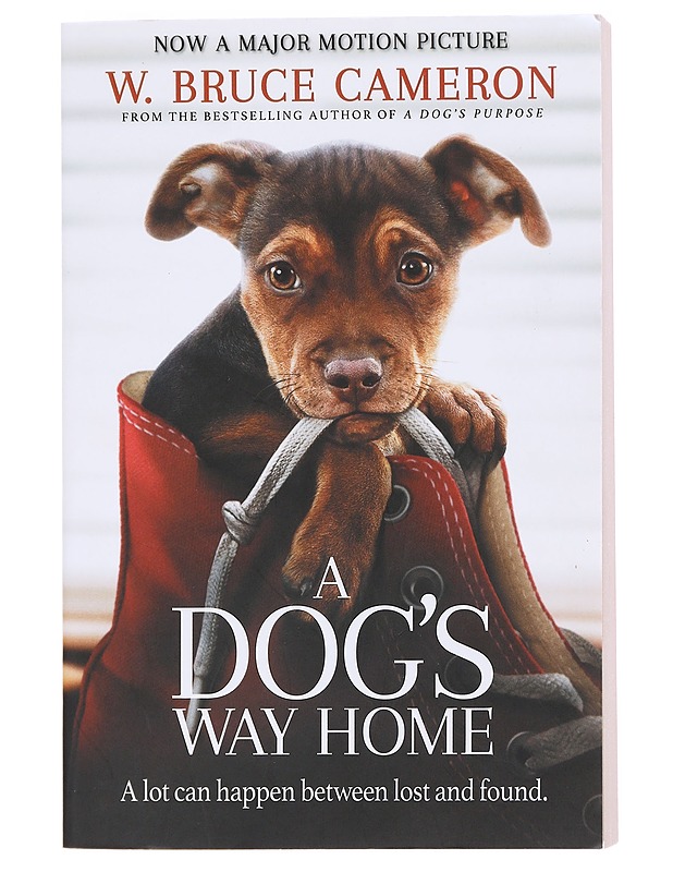  A Dog's Way Home - Bruce Cameron - Elämäkerrat ja muistelmat - 10105608330 - 0