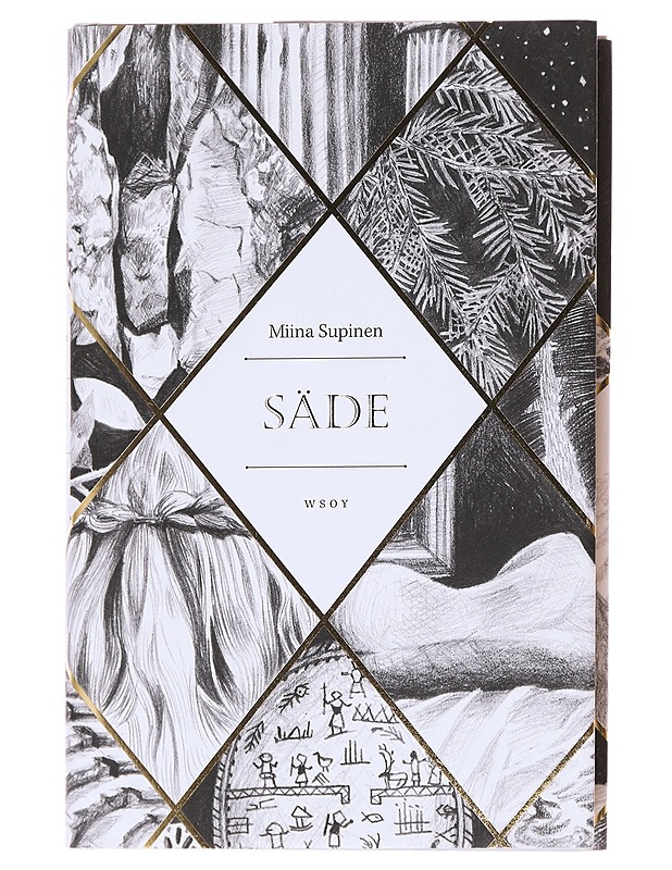 Säde - Miina Supinen - Romaanit ja novellit - 10105609352 - 0