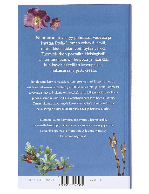 300 kasvia Suomen luonnossa - Risto Ihamuotila - Harrastekirjat - 10105609440 - 1