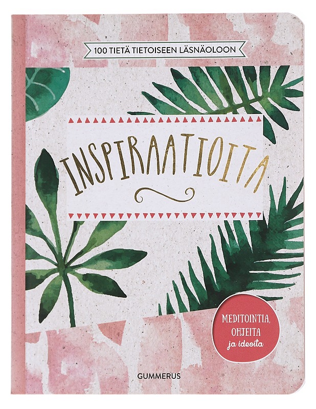 Inspiraatioita - Delphin Verlag - Tietokirjat ja oppaat - 10105609572 - 0