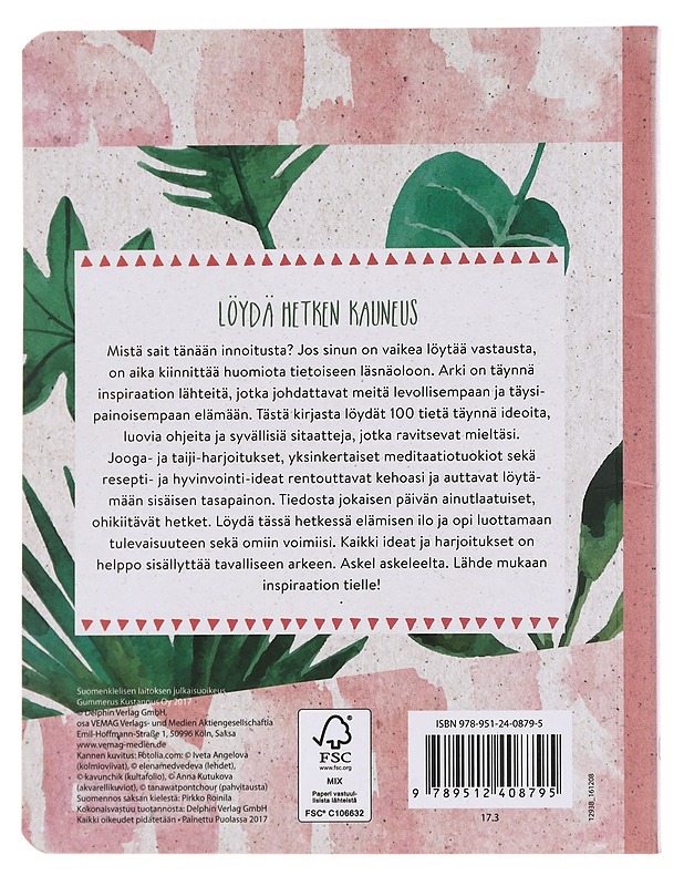 Inspiraatioita - Delphin Verlag - Tietokirjat ja oppaat - 10105609572 - 1