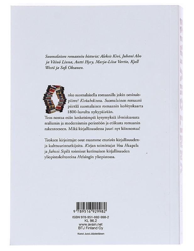 Kiviaholinna - Vesa Haapala - Tietokirjat ja oppaat - 10105610577 - 1