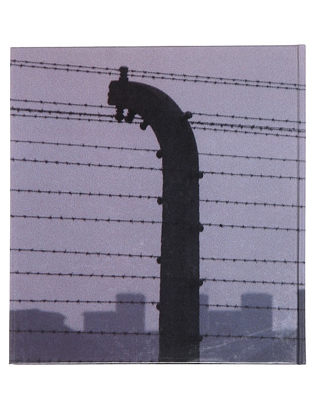 Auschwitz: voices from the ground - Historiakirjat - 10105610647 - 1