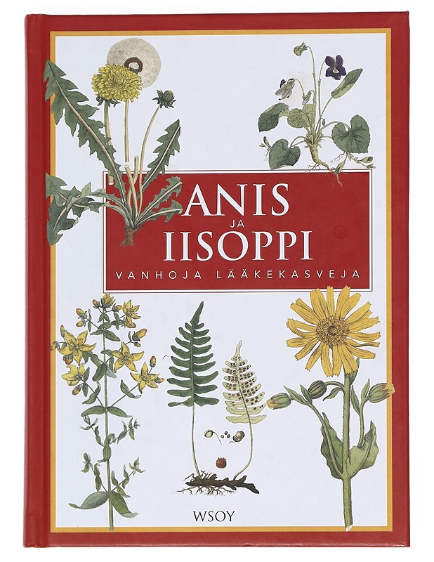 Anis ja iisoppi - Erik Bruun - Harrastekirjat - 10105610706 - 0