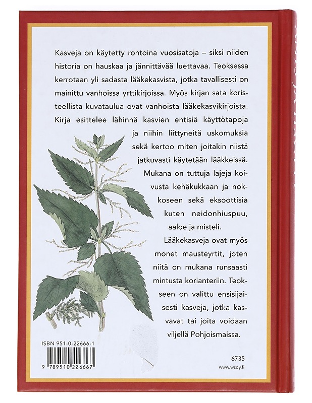 Anis ja iisoppi - Erik Bruun - Harrastekirjat - 10105610706 - 1