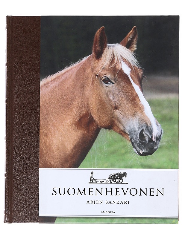 Suomenhevonen / arjen sankari - Laine, Päivi - Tietokirjat ja oppaat - 10105610746 - 0
