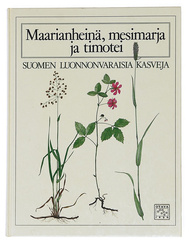 Maarianheinä, mesimarja ja timotei / Suomen luonnonvaraisia kasveja - Hinneri, Sakari - Tietokirjat ja oppaat - 10105611099 - 0