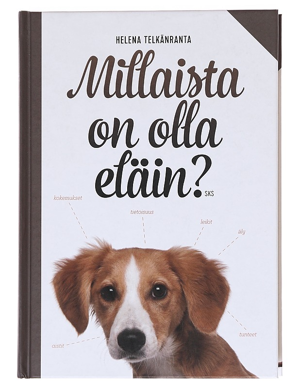 Millaista on olla eläin? - Helena Telkänranta - Tietokirjat ja oppaat - 10105611137 - 0