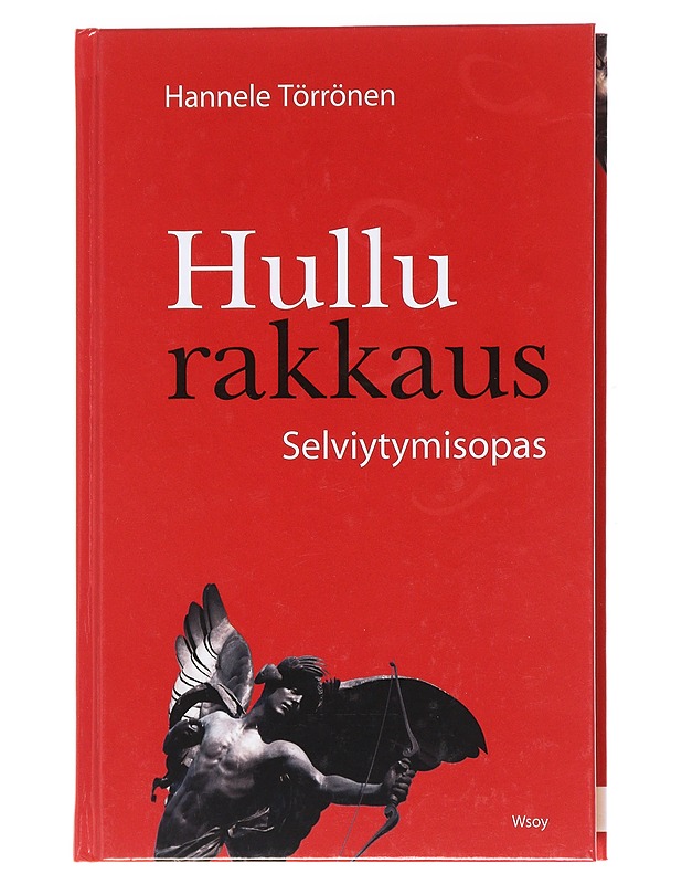 Hullu rakkaus : selviytymisopas - Hannele Törrönen - Tietokirjat ja oppaat - 10105611676 - 0