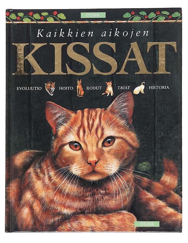 Kaikkien aikojen kissat - O'Neill, Amanda - Historiakirjat - 10105612069 - 0