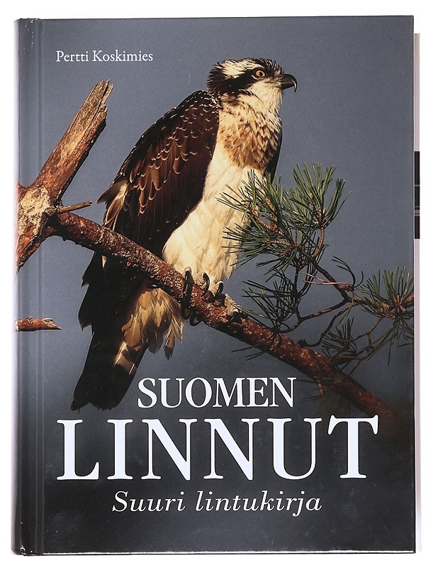 Suomen linnut / suuri lintukirja - Koskimies, Pertti - Tietokirjat ja oppaat - 10105612878 - 0