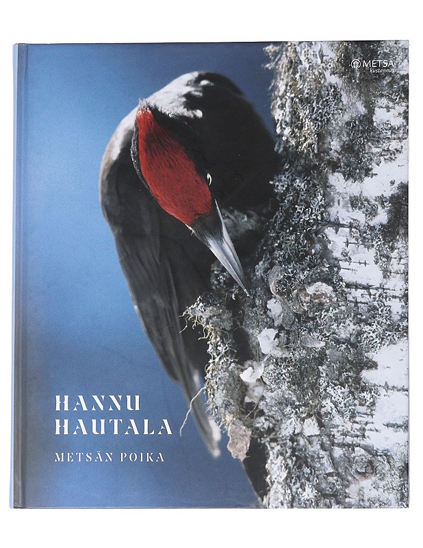 Metsän poika - Hannu Hautala, - Taide- ja kulttuurikirjat - 10105612942 - 0