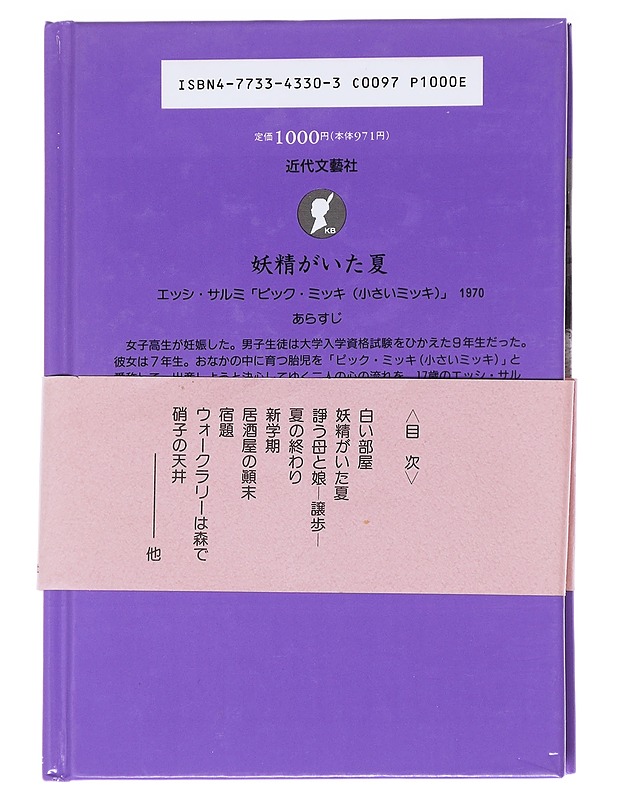Pikku Mikki - Essi Salmen  - Romaanit ja novellit - 10105613265 - 1