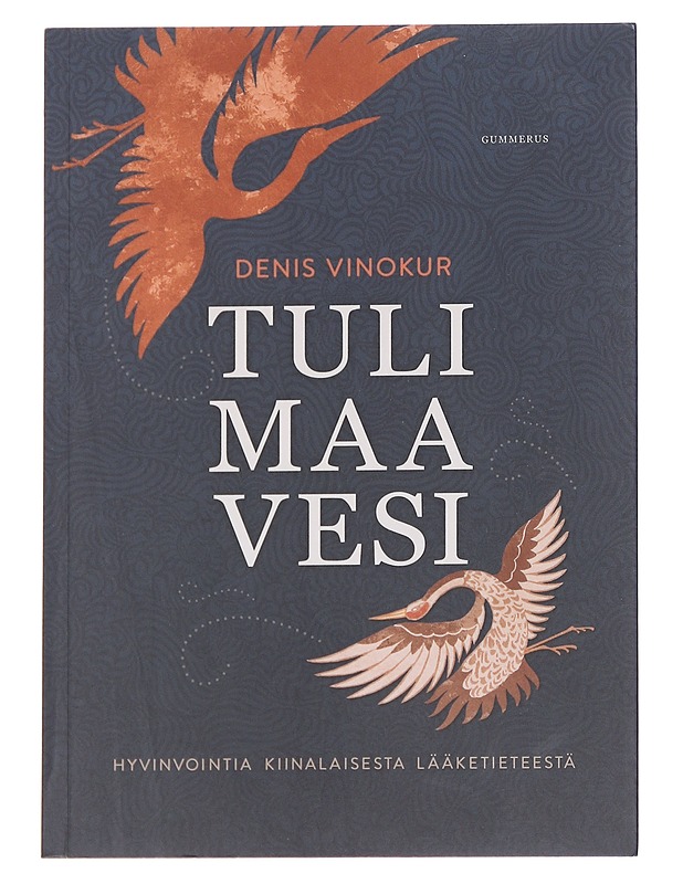 Tuli, maa, vesi  - Denis Vinokur - Tietokirjat ja oppaat - 10105614368 - 0