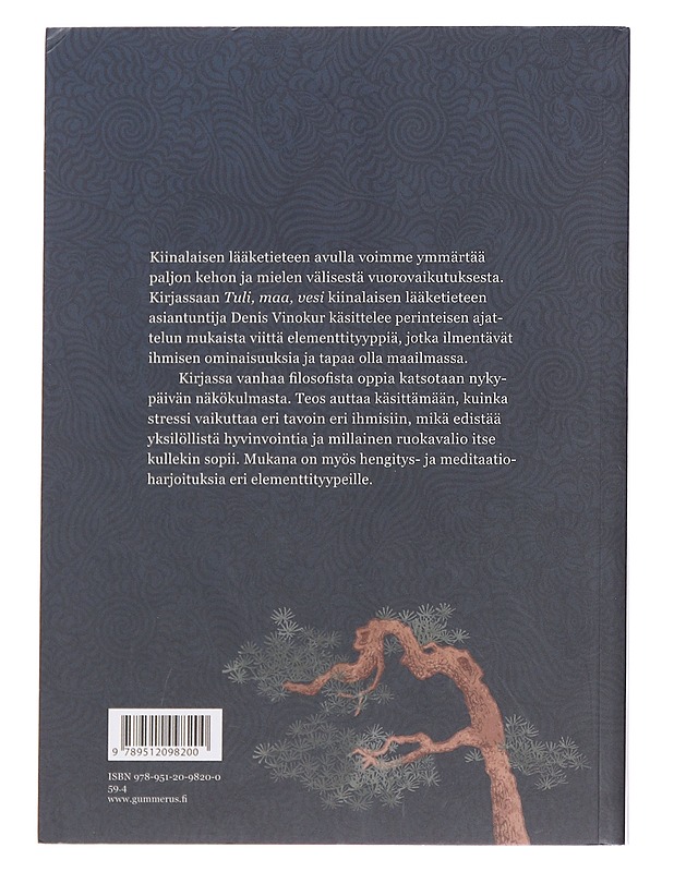 Tuli, maa, vesi  - Denis Vinokur - Tietokirjat ja oppaat - 10105614368 - 1