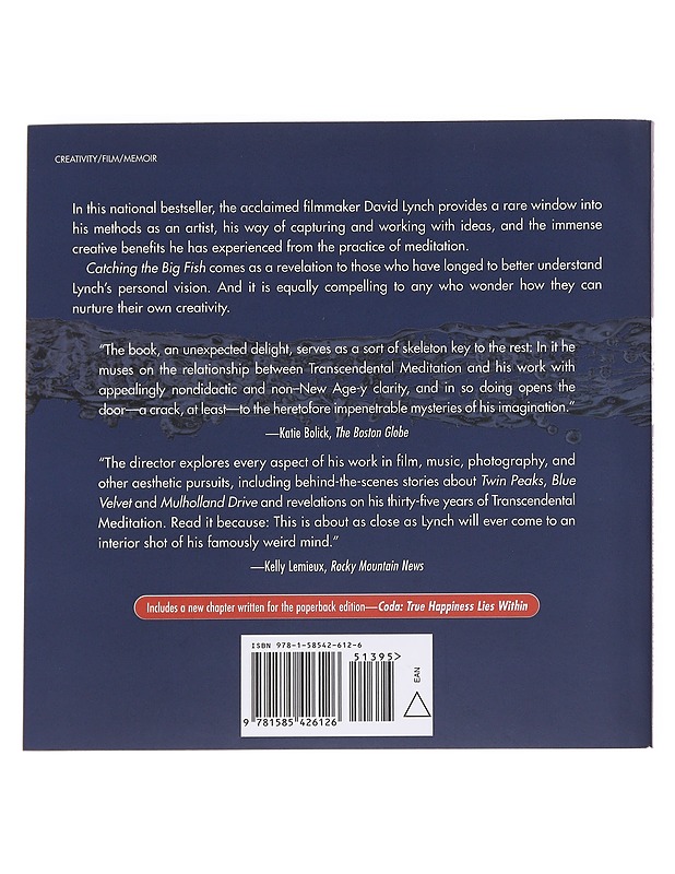 Catching The Big Fish - David Lynch - Tietokirjat ja oppaat - 10105614499 - 1