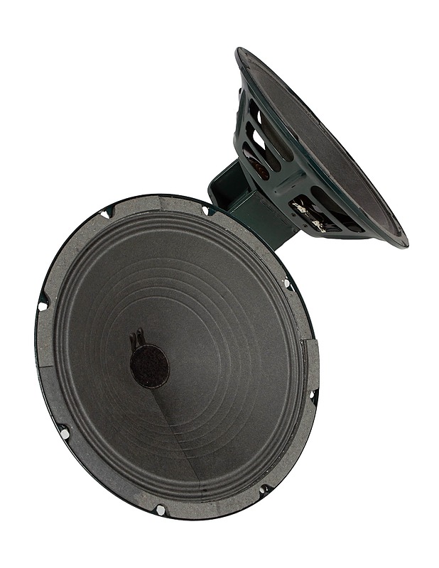 JENSEN Alnico Vintage P10R8 kitarakaiutin, 2 kpl - Audio - 10105614580 - 0